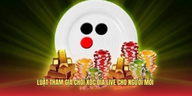 bat-mi-luat-choi-co-ban-cho-nguoi-moi