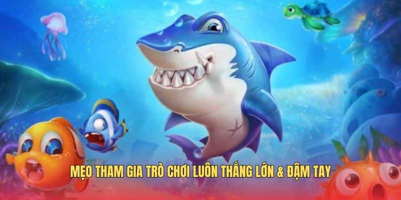 jili-ban-ca-meo-tham-gia-tro-choi-thang-dam