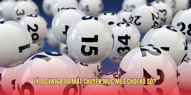 ly-do-nha-cai-ra-mat-chuyen-muc-meo-choi-tu-dan-chuyen